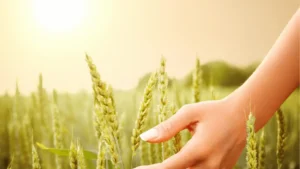 Toute Écriture est inspirée de Dieu