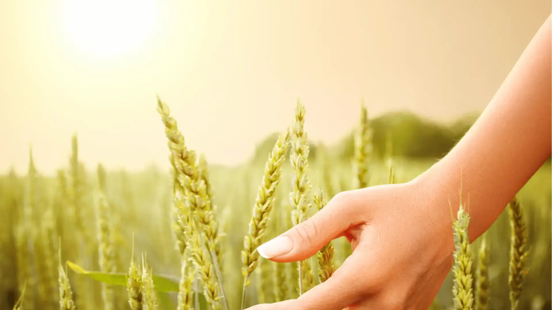 Toute Écriture est inspirée de Dieu