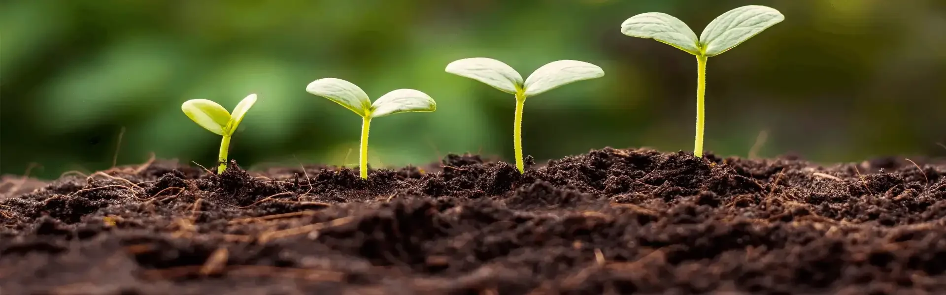 Les moniteurs sèment avec foi, Dieu fait grandir dans le cœur des enfants.